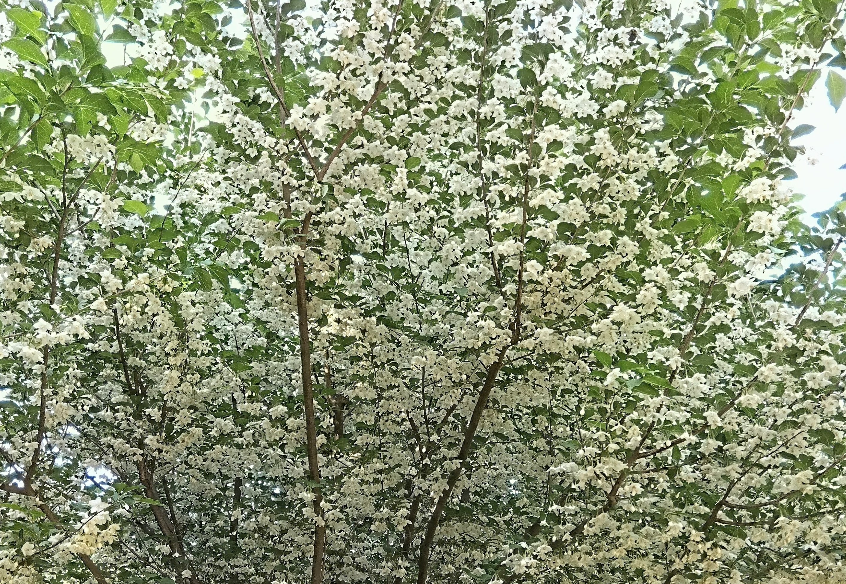 オンラインのみ指導の画像